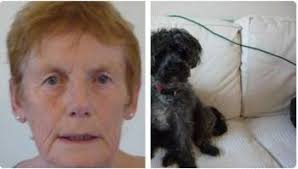 FIFI * LOST * MISSING WITH WILLOW ** Young Female, Poodle: Toy, Black  Friendly Dog **MISSING FROM:** Toddington, Cheltenham, Gloucestershire  GL54, South West Saturday, 3 January 2026 **OTHER INFO:** She is a