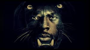 Chadwick Boseman Tribute