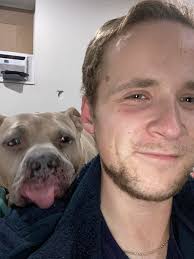 Anyone see this dog around Athy can you text me please 🙏🏽he got out