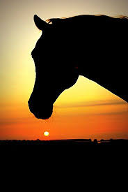 Maybe you would like to learn more about one of these? Http 365project Org Smallenburg 365 2011 07 28 Horse Silhouette Horse Wallpaper Horse Painting