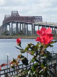 Roses At The Matthews Bridge Jacksonville Fl By Warren Thompson In 2020 Jacksonville Florida Jacksonville Fl Jacksonville