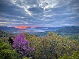 Maybe you would like to learn more about one of these? Arkansas Grand Canyon Photo Spot Jasper