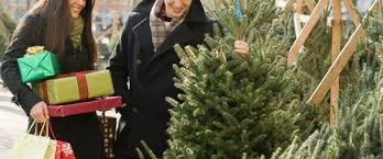 Check out all the latest christmas tree shops coupons and apply them for instantly savings. The Do S And Don Ts Of Buying The Perfect Christmas Tree Abc News