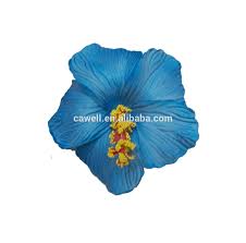 Hibiscus flowers are sort of a miracle plant. Wholesale Artificial Foam Hibiscus Flower Buy Hibiscus Flower Hawaiian Foam Flowers Foam Hibiscus Flower Product On Alibaba Com
