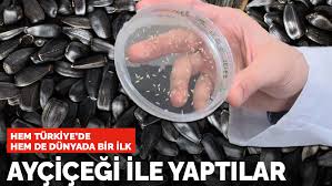 Sağlık bakanı fahrettin koca 17 nisan 2020 tarihi itibari ile türkiye'deki koronavirüs'ten hayatını kaybeden ve vaka sayısını açıkladı. Kqydukcpecob M