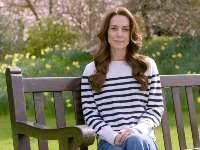 Health and healing': Harry and Meghan's wish for Kate