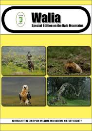 Best hd wildlife photos from national geographics, animal planet and professional photographers. Walia Special Edition On The Bale Mountains 2011 Zoologische
