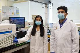 Welcher im verlauf zu einem erhabenen knotigen tumor heranwachsen kann. Researchers Engineer Cells To Destroy Maligna Eurekalert