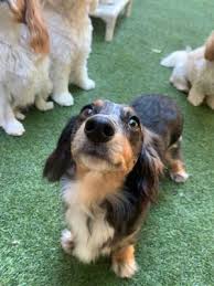 We did not find results for: All About Pets 12 Target Rd Ste 102 Hilton Head Island Sc Pet Shops Mapquest