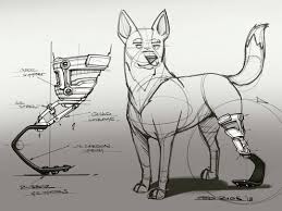 Here S Something That I Ve Been Thinking About For A While And Want To Improve Its Design Doggie Prostheti Industrial Design Sketch Dog Design Animal Sketches