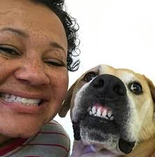 Dogs who smile! Can I see some more dogs who smile?! 😁