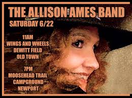 Can anyone tell me about Travis Allison band for my wedding next summer?