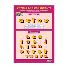 The english alphabet contains 26 letters. English School Poster Vowels And Consonants