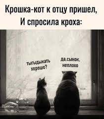 субботний_котик в воскресенье опять. Такие они, #скотики. А как вам  кажется, что в вашей жизни выполняет роль тыгдыка, мои котики ? #юмор  #psyvert #fortg