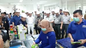 Entdecke rezepte, einrichtungsideen, stilinterpretationen und andere ideen zum ausprobieren. Mentan Syahrul Yasin Limpo Lepas Bibit Hortikultura Di Purwakarta Senilai Rp 10 Miliar Untuk Ekspor Tribun Jabar