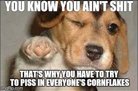 We did not find results for: Good Job Dog Meme Generator Imgflip
