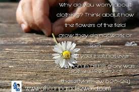 Feb 19, 2021 · the bible uses flowers often as imagery of beauty and growth. Don T Worry About What To Wear Bible Verse To Inspire You Today