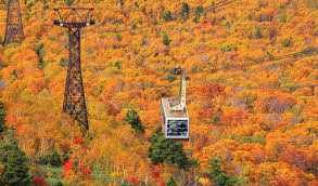 Image result for Hakkoda Walk