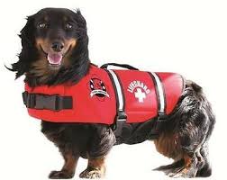 Obrien Neoprene Pet Vest Swimming And Boat Safety Neo Life