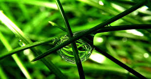 Pin Di Great Wallpaper