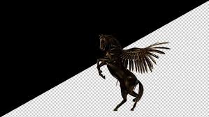 Maybe you would like to learn more about one of these? Pegasus Video Effects Stock Videos From Videohive