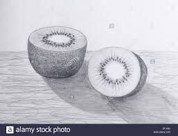 We did not find results for: Pencil Shading Pencil Fruits Drawing Novocom Top