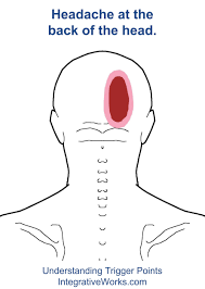 Pin On Reflexology
