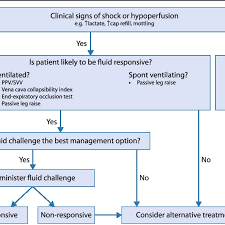 Flow Chart To Demonstrate The Possible Decision Making