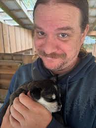 Whitney Morse (@whitneyalicemorse) • Instagram photos and videos