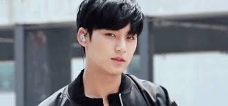 The best gifs for mingyu. About Mingyu ë¯¼ê·œ Amino