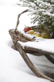 Pin Von Heart Of The Moon Auf Winter Naturbilder Rotes Weihnachten Natur