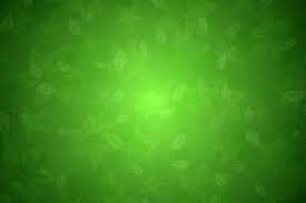 خلفيات خضراء اوراق شجر ونجوم 2013 صور مريحة للنظر Green