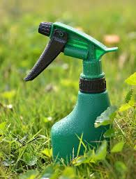 A Bottle Of Glycerin Can Do 6 Amazing Things In The Garden That No One Ever Told You Homemade Bug Spray Bug Spray For Plants Garden Bug Spray