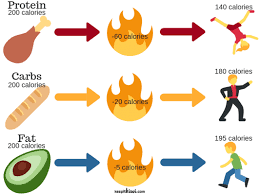 Foods With High Thermic Effect Yahoo Search Results In 2020 Thermic Food 200 Calories