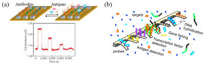 << las aplicaciones de detector de metales requieren un sensor magnético (magnetómetro). Micromachines Free Full Text On Chip Detection Of The Biomarkers For Neurodegenerative Diseases Technologies And Prospects Html