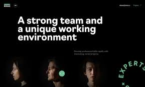 International hr day is celebrated on may 20th every year. Nimax Hr Website Css Design Awards