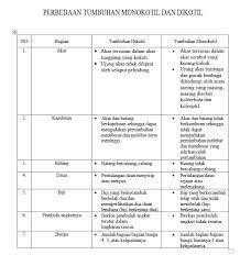 Tabel perbedaan pertumbuhan dan perkembangan. 7 Perbedaan Monokotil Dan Dikotil Tabel Dan Gambar