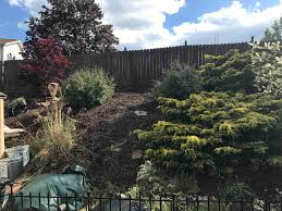 Their spa pedicure + callous remover comes to about $30, and it's. Ground Cover For Hillside 398601 Ask Extension