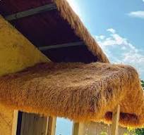Amazon.com: Waterproof & Fireproof Synthetic Palm Thatch ...