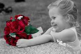 Happy Rose Day 2017 Wishes: Greetings, Images, Wallpaper, Shayari for Your  Loved Ones