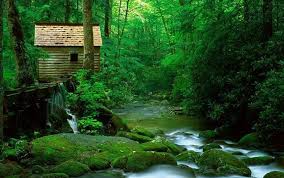 Check spelling or type a new query. Free Nature Wallpapers For Desktop Backgrounds Wallpaper Cave