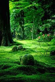Moss Garden Sanzen In Temple Kyoto Japan Moss Garden Japanese Garden Landscape