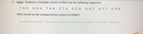Use the dichotomous key to the scheme supports the key aims of swim england for everyone to have a lifelong participation in aquatic activity. Solved 2 Experiment The Next Three Bases On The Dna Tem Chegg Com