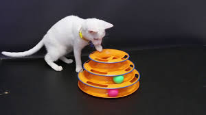 Procat Tower Of Tracks 3 Katli Toplu Yuvarlak Kedi Oyuncagi Youtube
