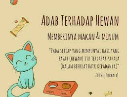 Sayangilah Hewan Berilah Mereka Makan Dan Minum Hewan Minuman Lucu