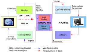 Various operation systems operate the computer and the one that runs mainframe computers include ibm z series, unisys. Communication Between Man And Machine 11 Download Scientific Diagram