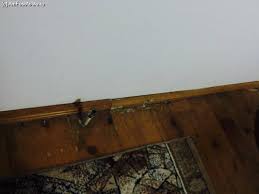 Find 86 traveller reviews, 203 candid photos, and prices for hotels in sarata monteoru, romania. Pensiunea Lorena SÄƒrata Monteoru Bz Impresii PÄƒreri RecomandÄƒri Pensiunea Lorena Amfostacolo Amfostacolo