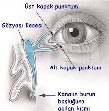Gozyasi Kanal Tikanikligi Doc Dr Fatih C Gundogan Kayseri