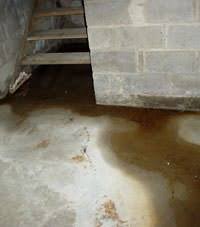 Select from premium basement flood of the highest quality. Basement Flooding Issues In Greater Portland Including Portland Eugene Salem Beaverton Or Vancouver Wa