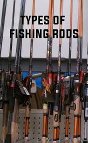 Types Of Fishing Rods Types Of Fish Fish Lake Fishing